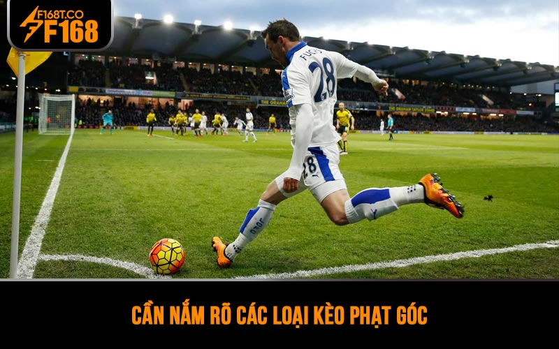 Cần nắm rõ các loại kèo