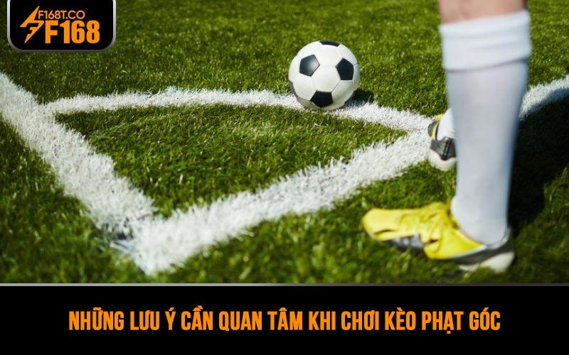Những lưu ý cần quan tâm